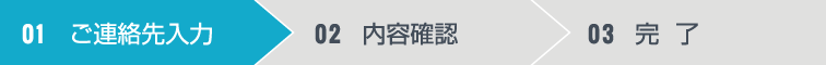 01 ご連絡先入力 02 内容確認 03 完  了